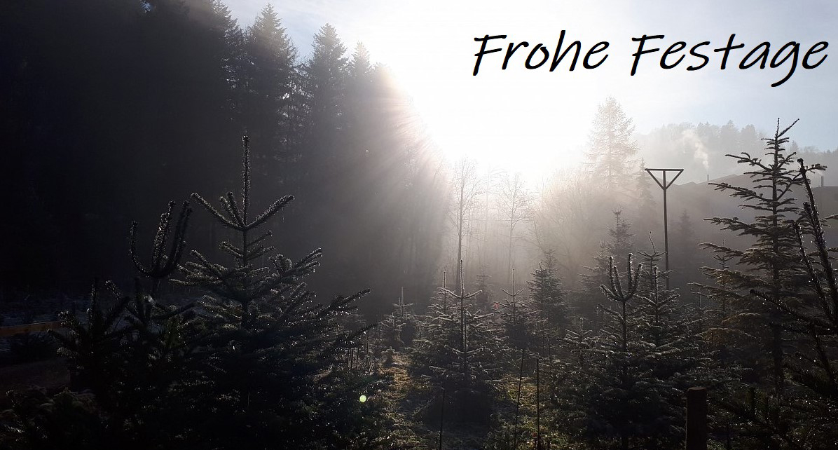 Frohe Festtage & einen guten Rutsch